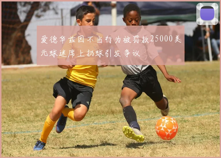爱德华兹因不当行为被罚款25000美元球迷席上扔球引发争议